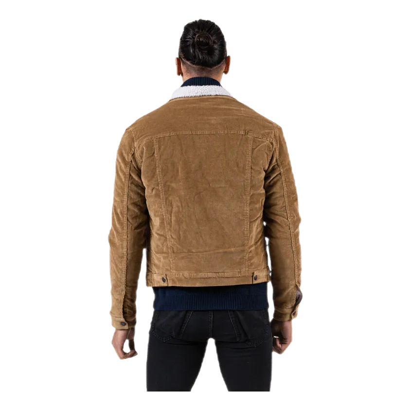 Alvin Jjsherpa Corduroy Akm  555 Brown