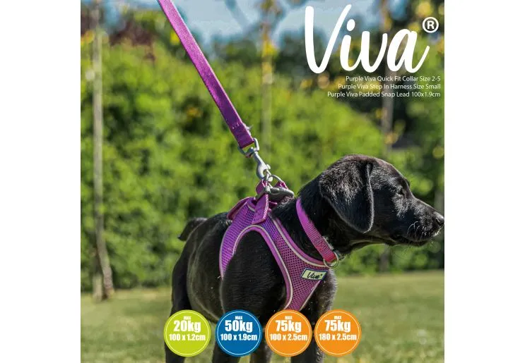 Ancol - Viva Nylon Padded Snap Lead - Black - 100cm x 12mm (Max 20kg)
