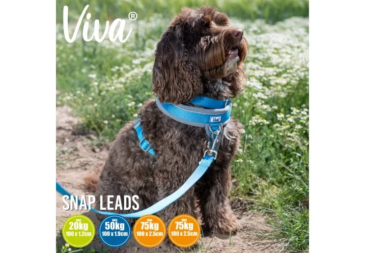 Ancol - Viva Nylon Padded Snap Lead - Black - 100cm x 12mm (Max 20kg)
