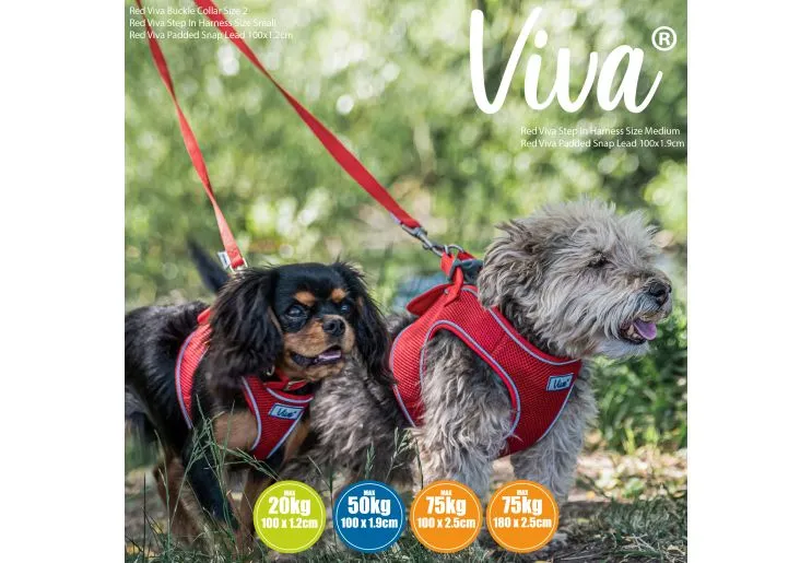 Ancol - Viva Nylon Padded Snap Lead - Black - 100cm x 12mm (Max 20kg)