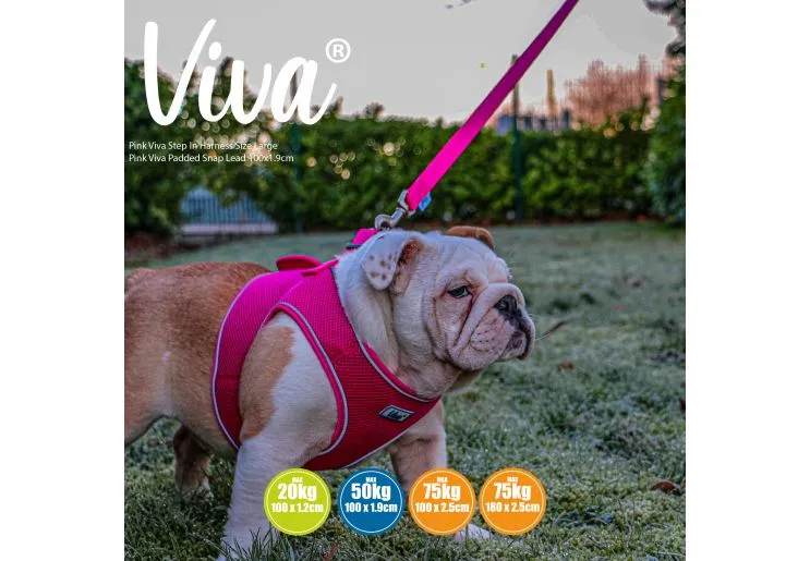 Ancol - Viva Nylon Padded Snap Lead - Black - 100cm x 12mm (Max 20kg)