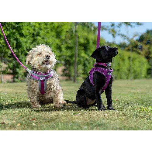 Ancol Viva Padded Harness Pink M 41-53cm